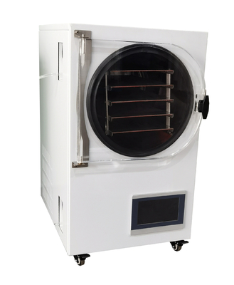 Máquina de secagem pequena do gelo das frutas e legumes com vácuo automático