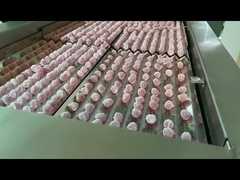 Super 16 Passageway Harmaceutical Machinery Equipment Pill Capsule Counting